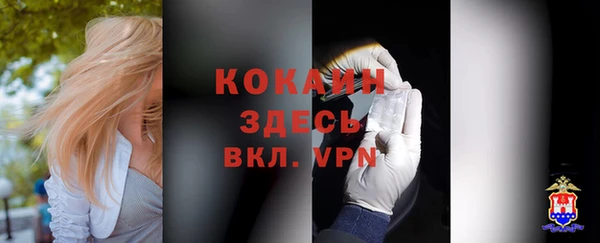 молекула духа Балахна