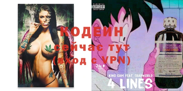 молекула духа Балахна