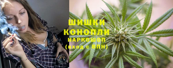 сатива Снежногорск