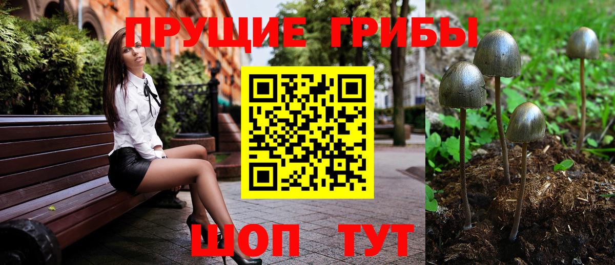 Краснокаменск  Псилоцибиновые грибы Psilocybe  закладка  Вход с VPN 