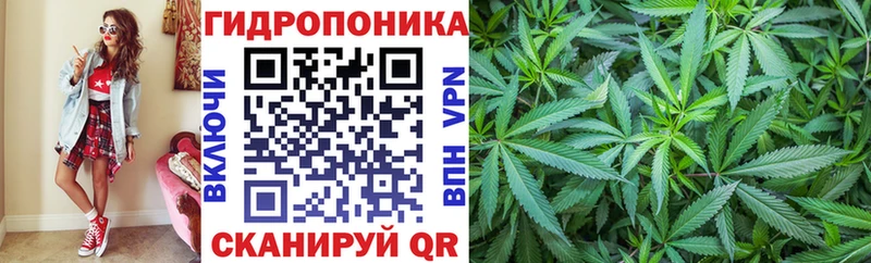 Конопля марихуана  Краснокаменск 